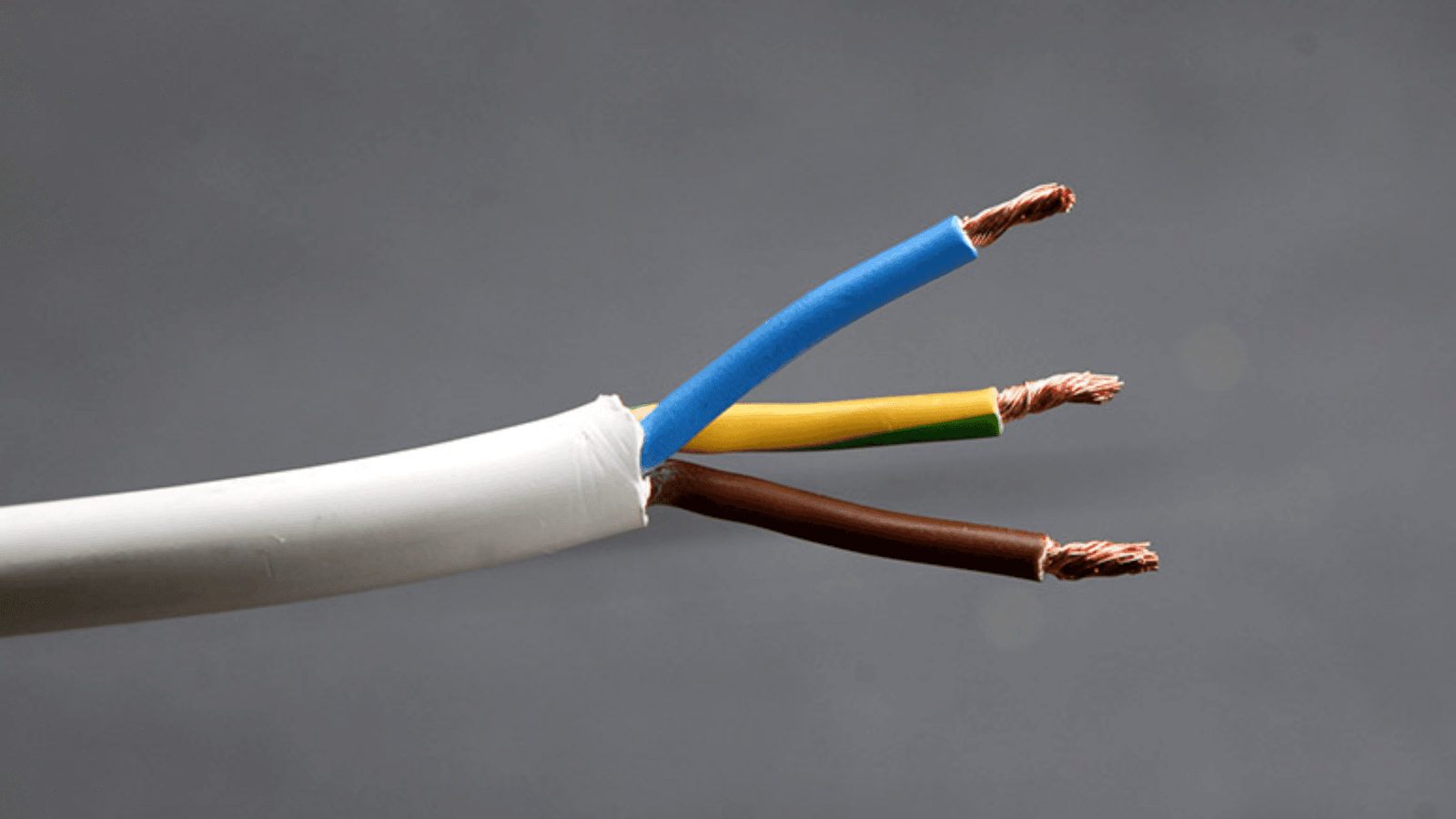 phase neutre terre le sens d'une prise