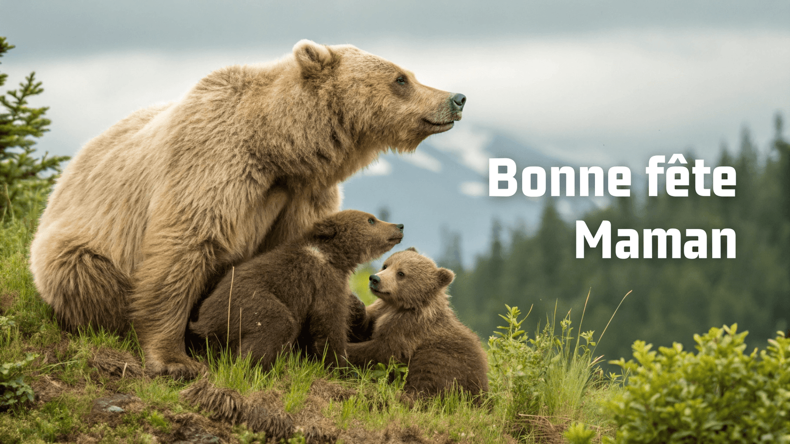 Merci les mamans, votre instinct d’ourse protège vos enfants des dangers invisibles💕