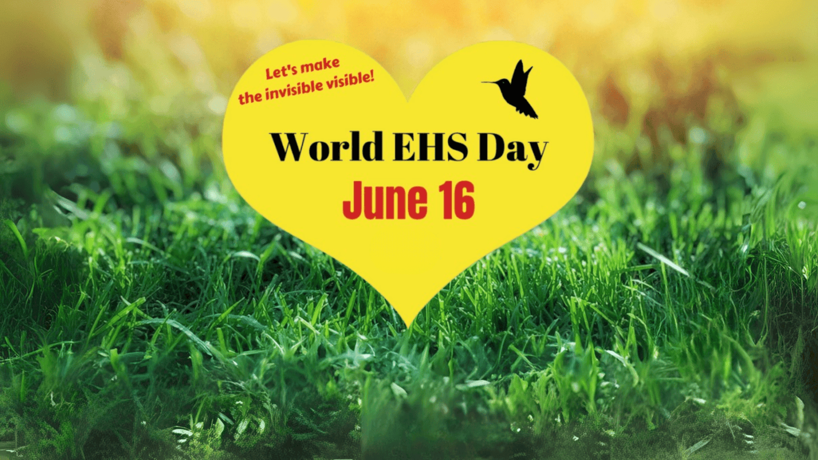 De l’ombre à la lumière : le combat des personnes EHS pour exister